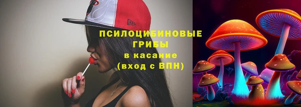 PSILOCYBIN Заволжск