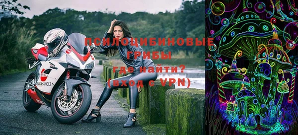 PSILOCYBIN Заволжск