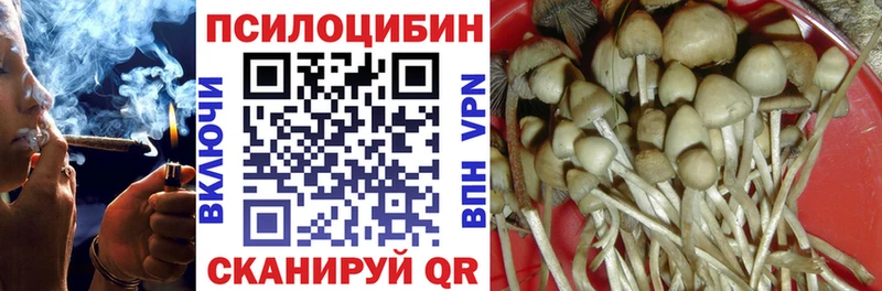 Галлюциногенные грибы прущие грибы  Салехард 